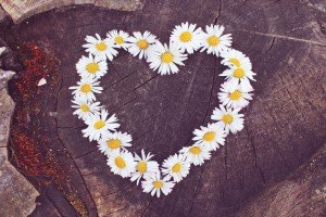 Restore with Compassion